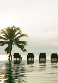 Palm tree by swimming pool against sky