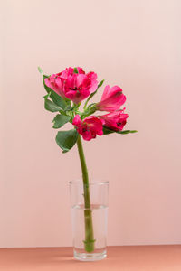 Close-up of pink flower vase on table