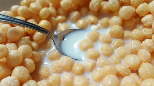 Close-up of food in bowl