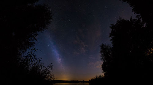 Low angle view of tree against star field