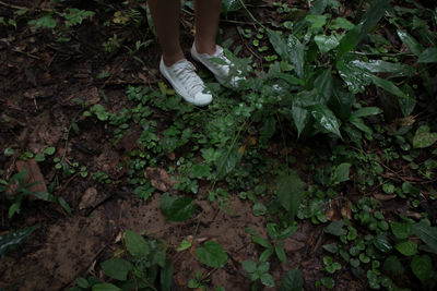 Low section of person standing on ground