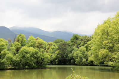 Scenic view of lake against cloudy sky