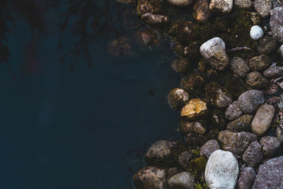 High angle view of pebbles in water