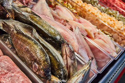 High angle view of seafood for sale at market stall