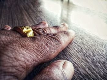 Close-up of person holding hand