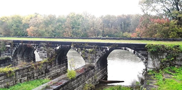 Arch bridge over river in forest