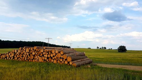 Stack of logs on field against sky