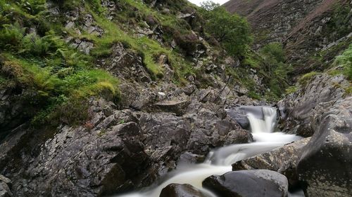 High angle view of waterfall in forest