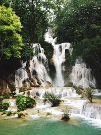 Scenic view of waterfall in forest