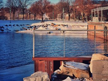 Birds in lake during winter
