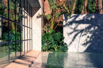 Courtyard with a pool in modern villa