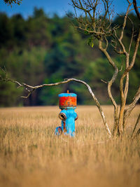 Blue rusty fire hydrant by plant in grassy field