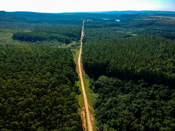 High angle view of trail on landscape