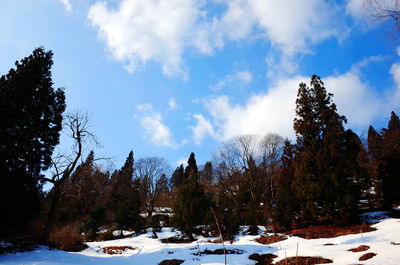 Scenic view of snow covered landscape