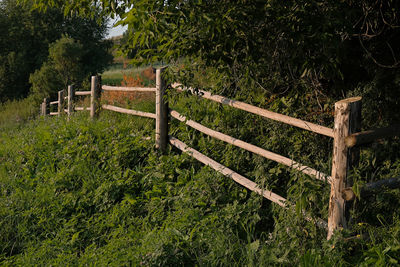 Fence on field by trees in forest