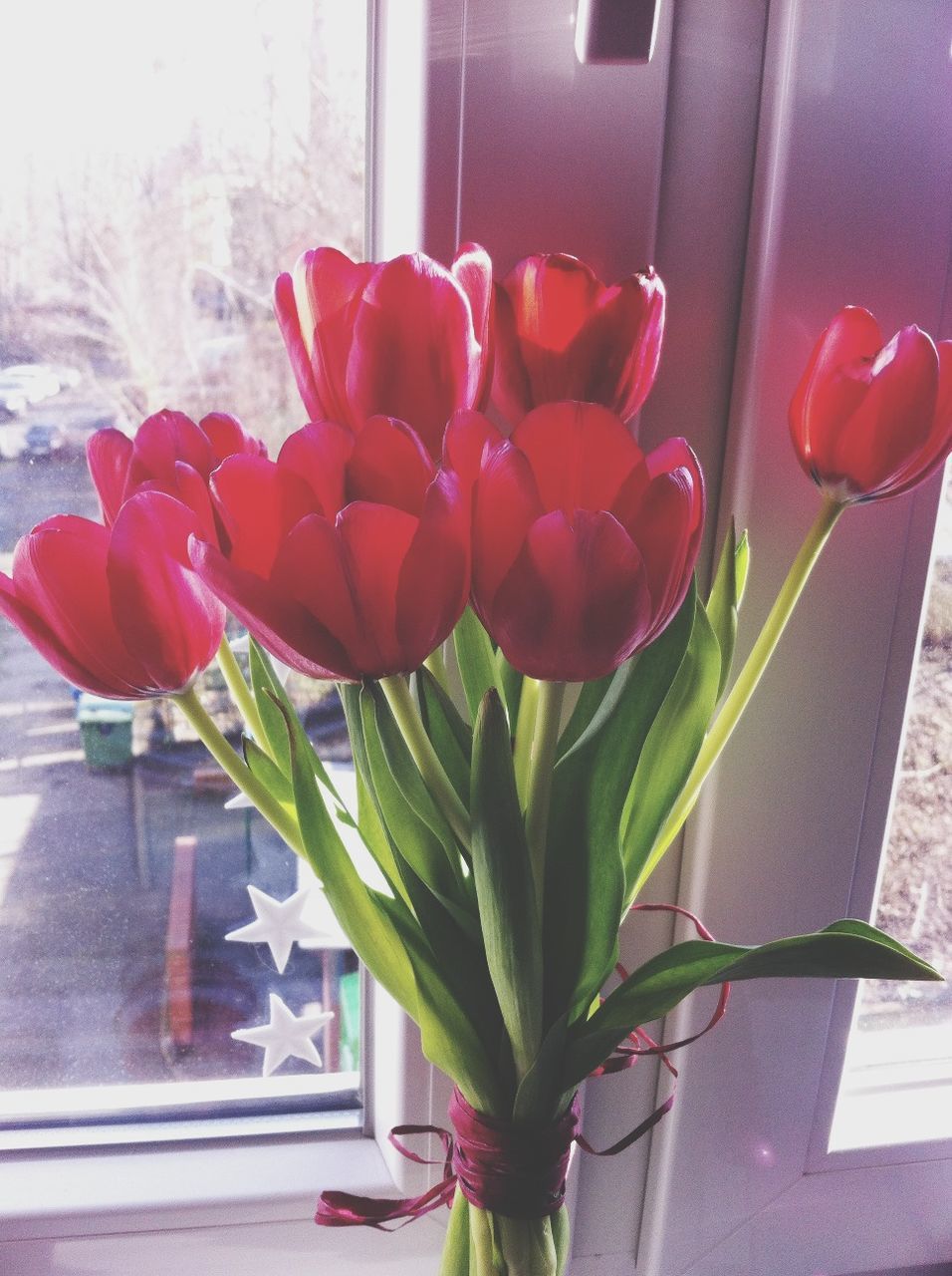 flower, indoors, potted plant, window, plant, vase, growth, red, freshness, fragility, home interior, window sill, flower pot, glass - material, petal, leaf, wall - building feature, flower head, house, built structure