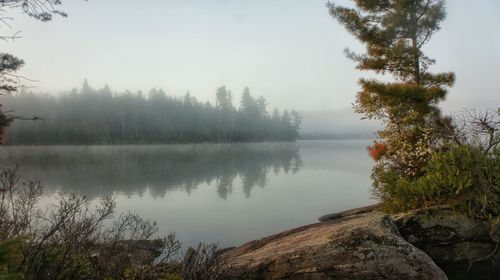 Scenic view of lake with trees in background