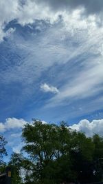 Low angle view of trees against cloudy sky