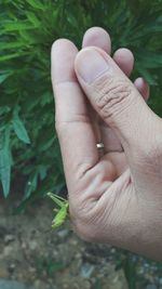 Close-up of woman hand