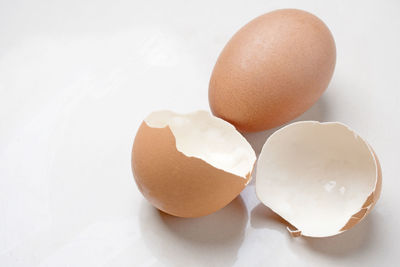 High angle view of eggs against white background