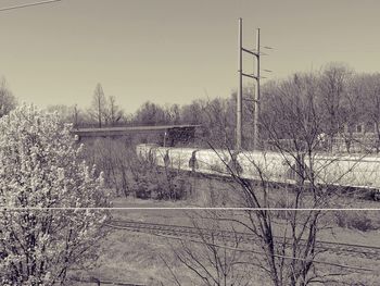 Bare trees on bridge against sky during winter