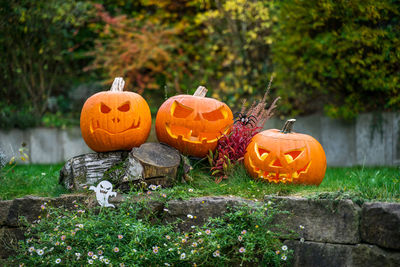 Various pumpkins on pumpkin during autumn