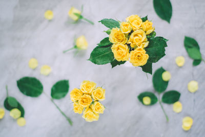 Close-up of flowers on table