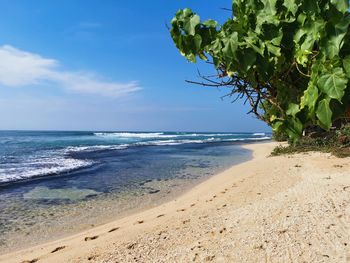 Scenic view of beach against sky