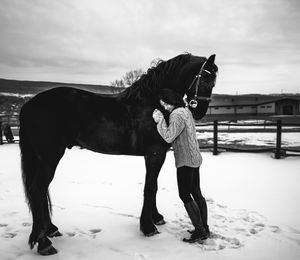 Full length of a horse on snow covered field