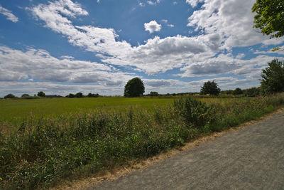 Scenic view of field against sky