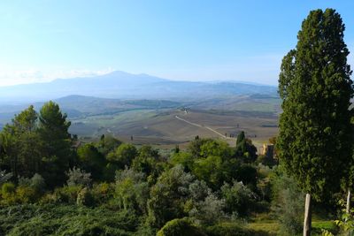 High angle view of trees on landscape against sky