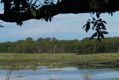 Scenic view of lake against sky
