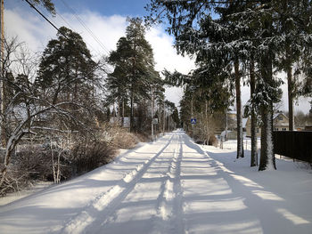 Snow covered plants and trees against sky