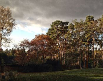 Scenic view of grassy field against cloudy sky