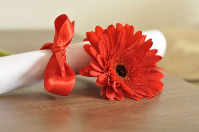 Close-up of red flower with certificate on wooden table