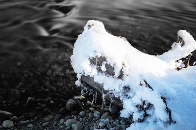 High angle view of bird on snow