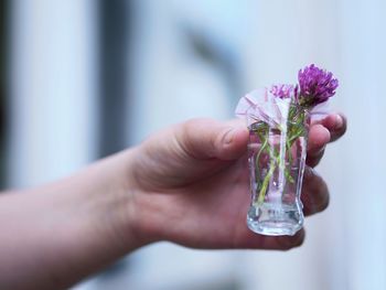 Close-up of hand holding purple flower in glass