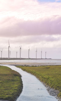 Windmills on field against sky during sunset