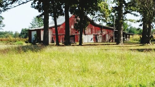 Houses on grassy field