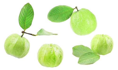 High angle view of fruits against white background