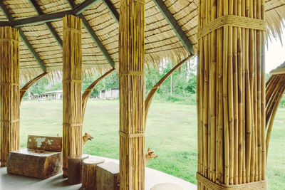 View of bamboo through window