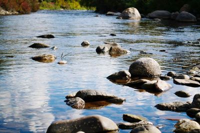 Rocks in lake