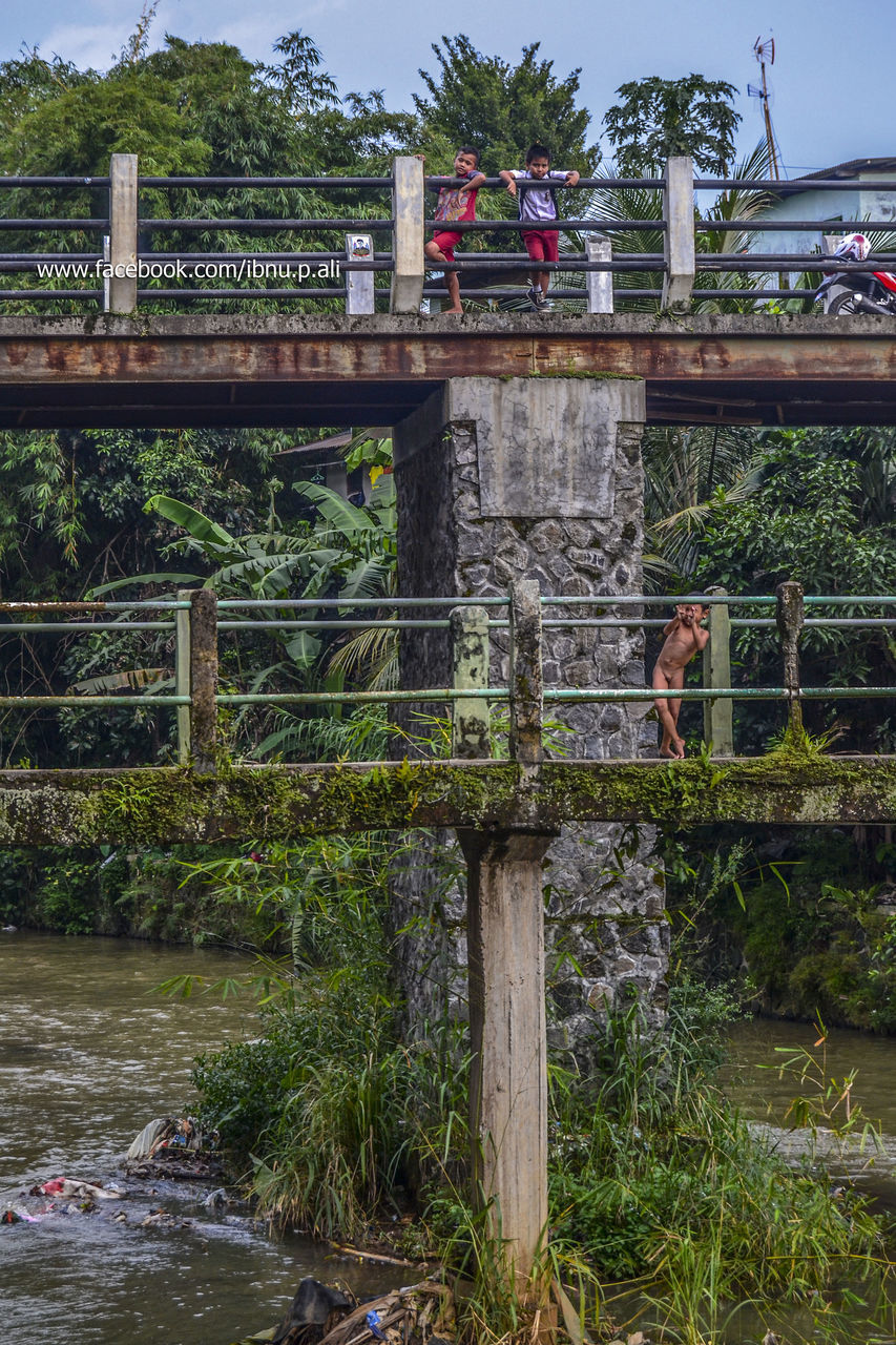 bridge - man made structure, built structure, architecture, connection, water, river, transportation, railing, plant, bridge, building exterior, tree, day, engineering, metal, outdoors, no people, green color, nature, footbridge