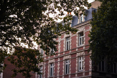 Low angle view of trees and house