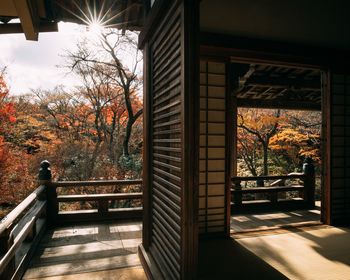 Trees in park during autumn