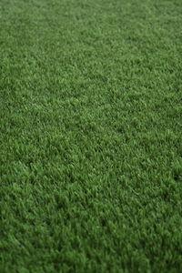 Full frame shot of green field