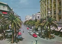 palm tree, building exterior, architecture, built structure, sky, transportation, street, city, mode of transport, water, tree, car, building, residential building, day, land vehicle, house, residential structure, incidental people, outdoors