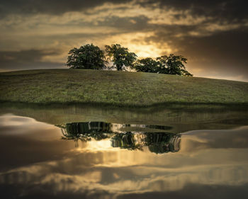 Reflection of tree on lake against sky during sunset