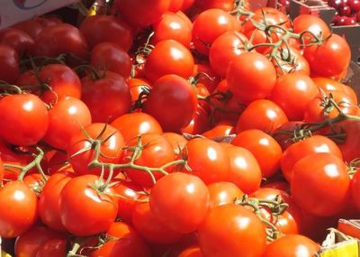 tomato