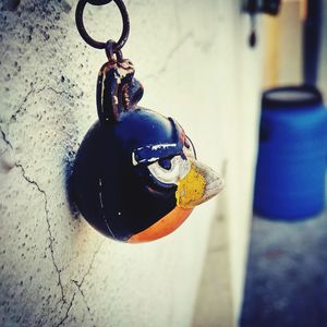 Close-up of clothes hanging